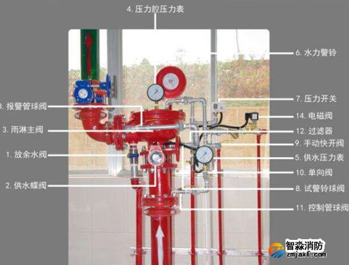 1584026600583984.jpg 54.jpg